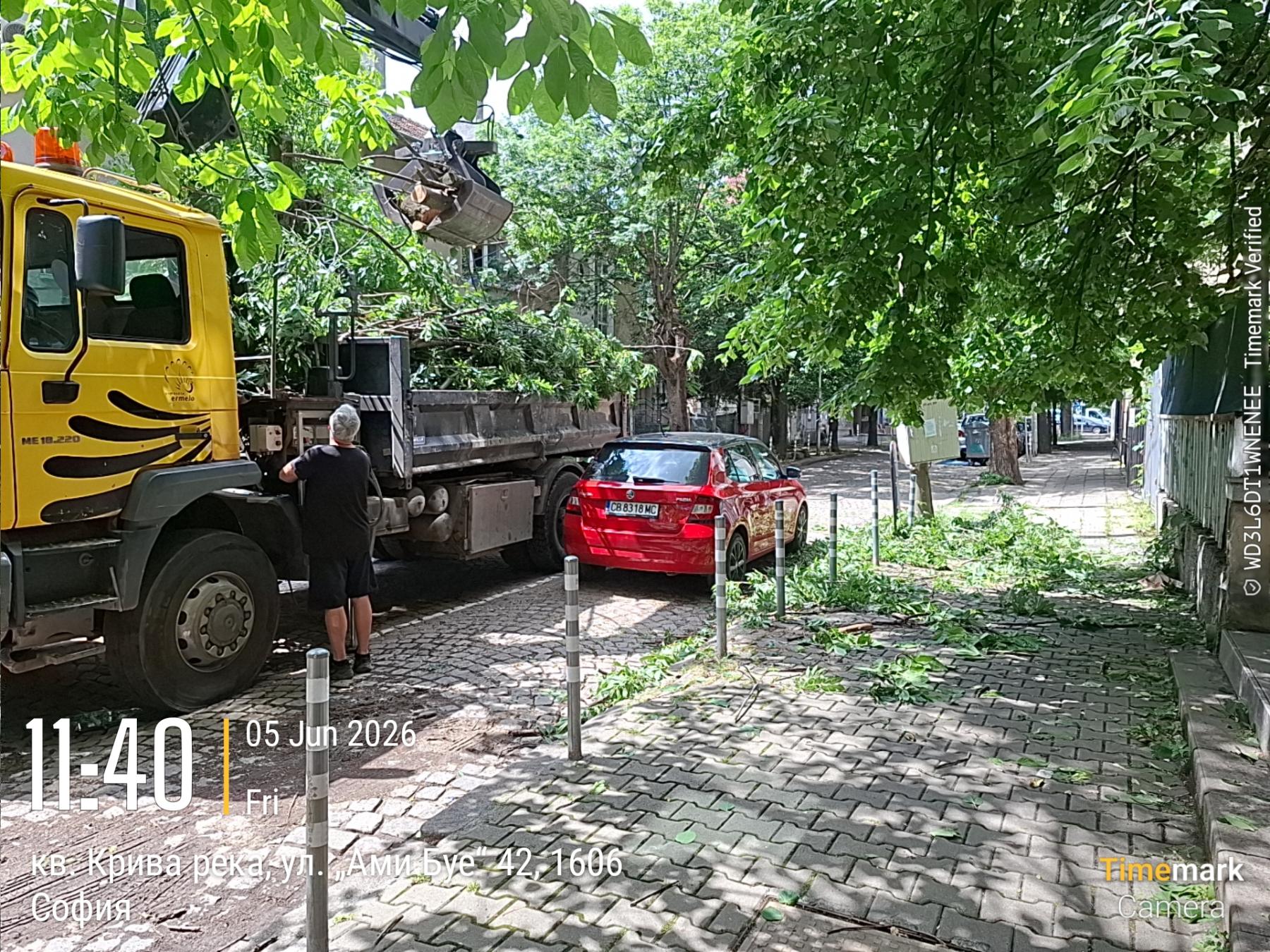 Събиране и извозване на зелени отпадъци