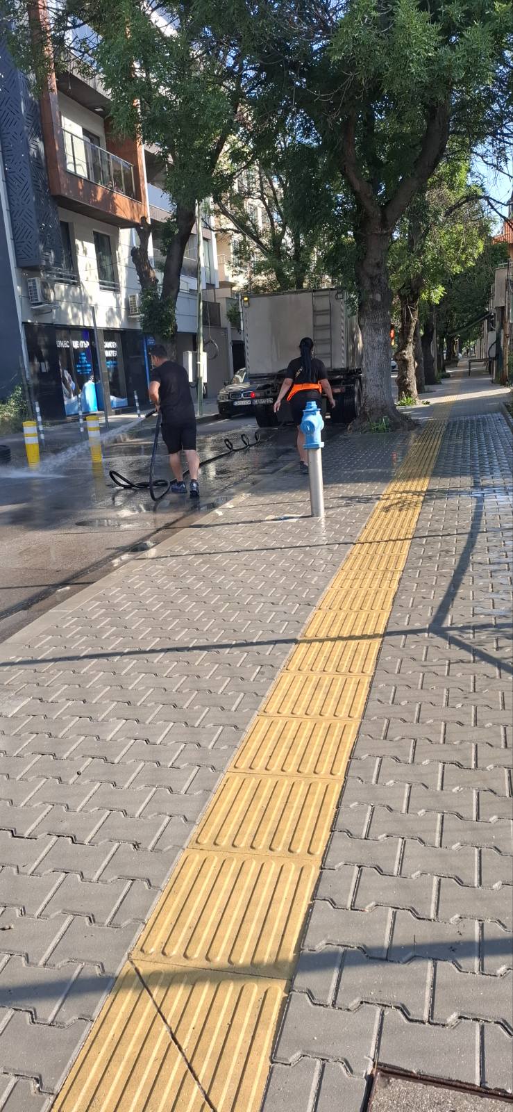 Миена на карета 