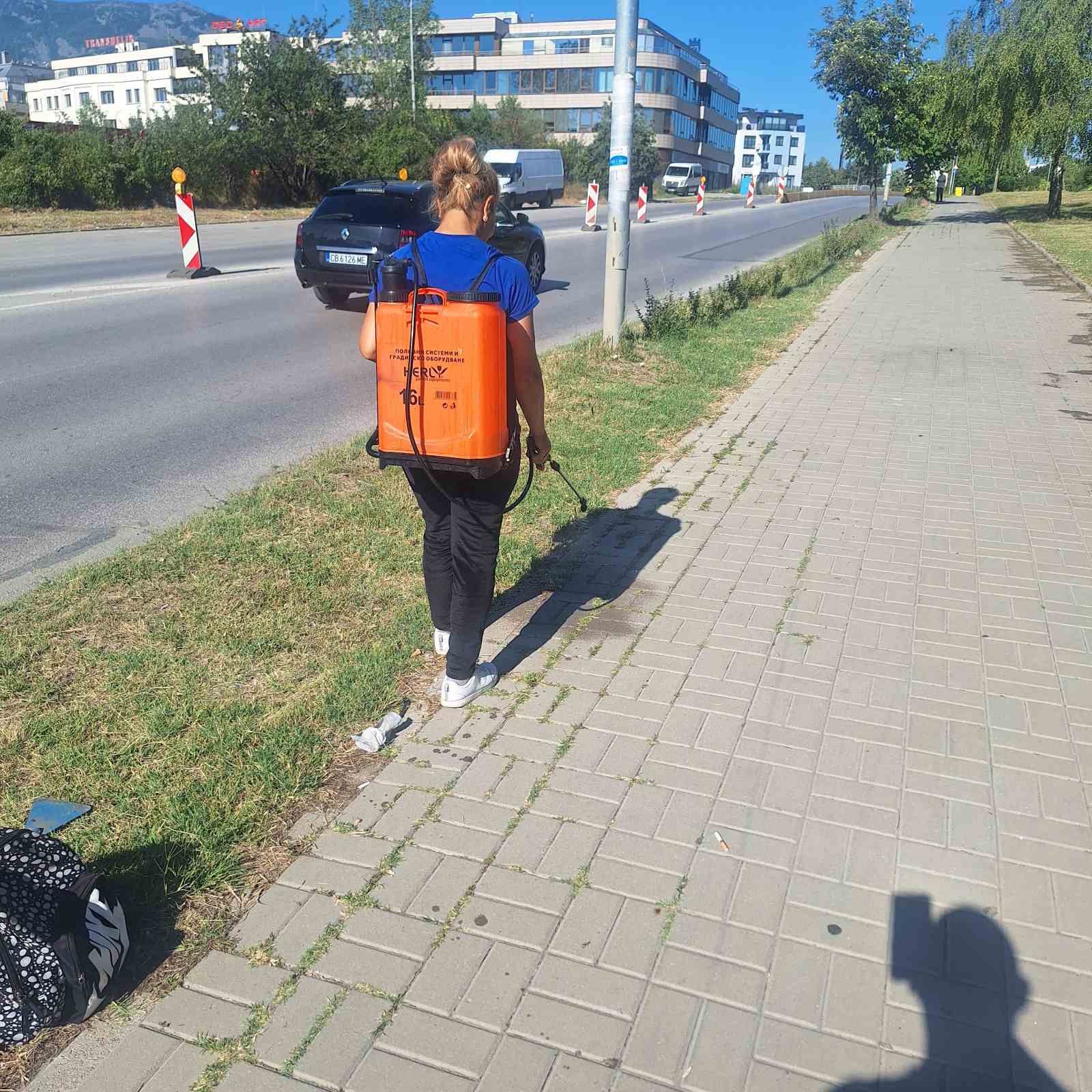 Почистване на обществени пространства-третиране на прораснали треви