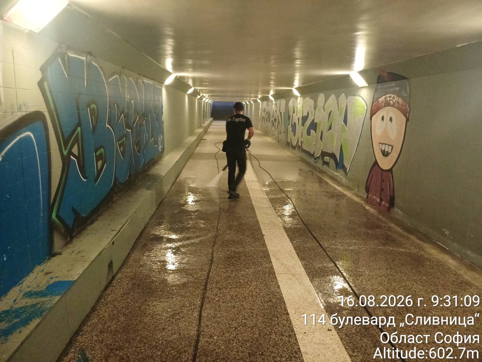 Миене на подлези