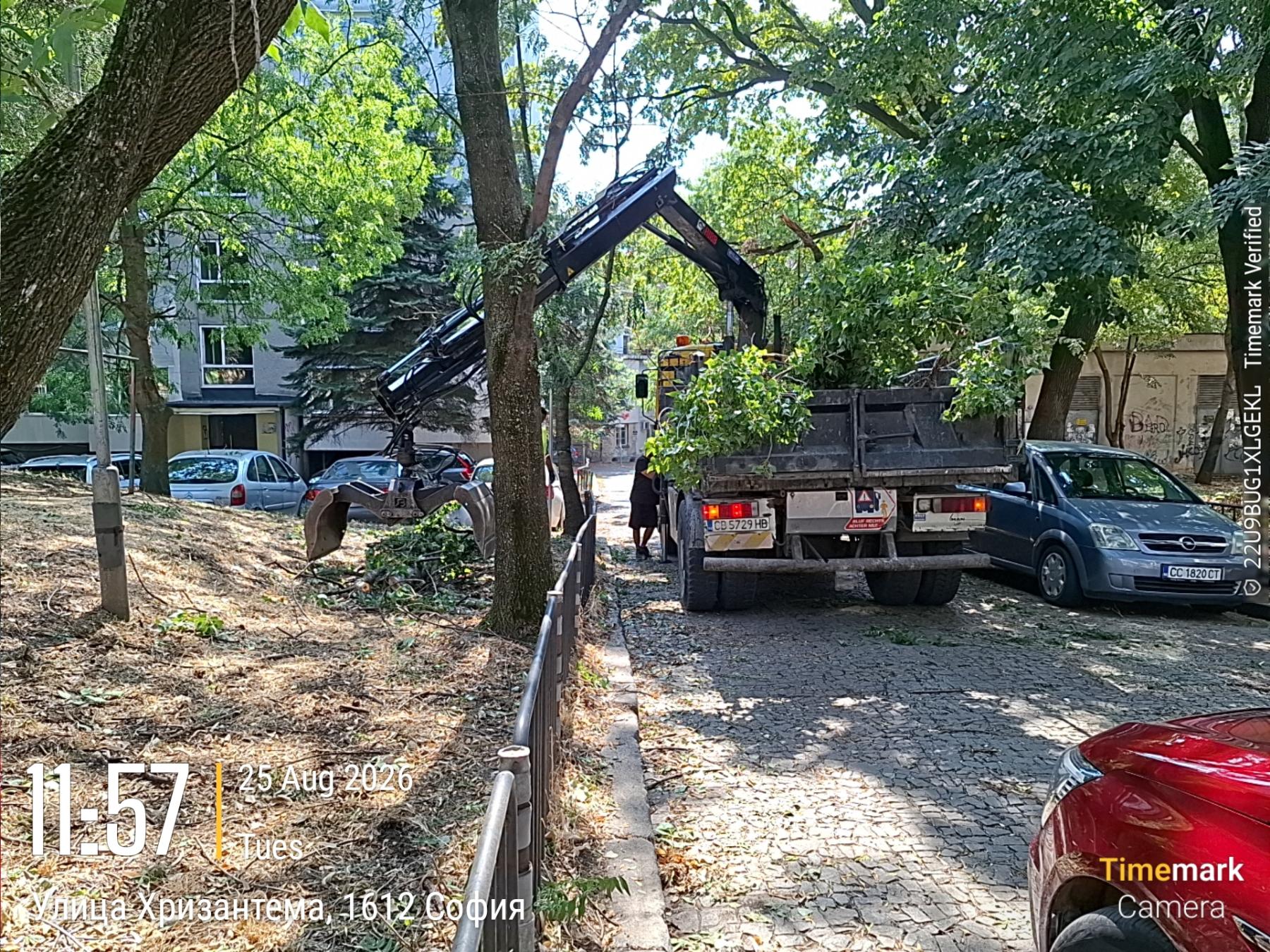 Събиране и извозване на зелени отпадъци
