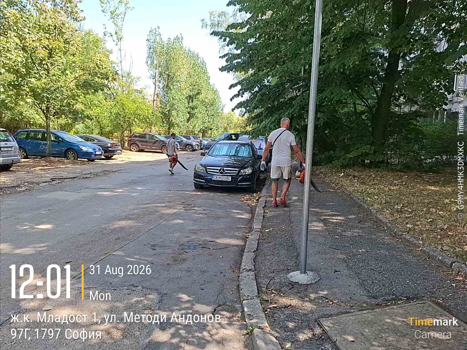 Почистване на обществени пространства и тротоари от окапали листа