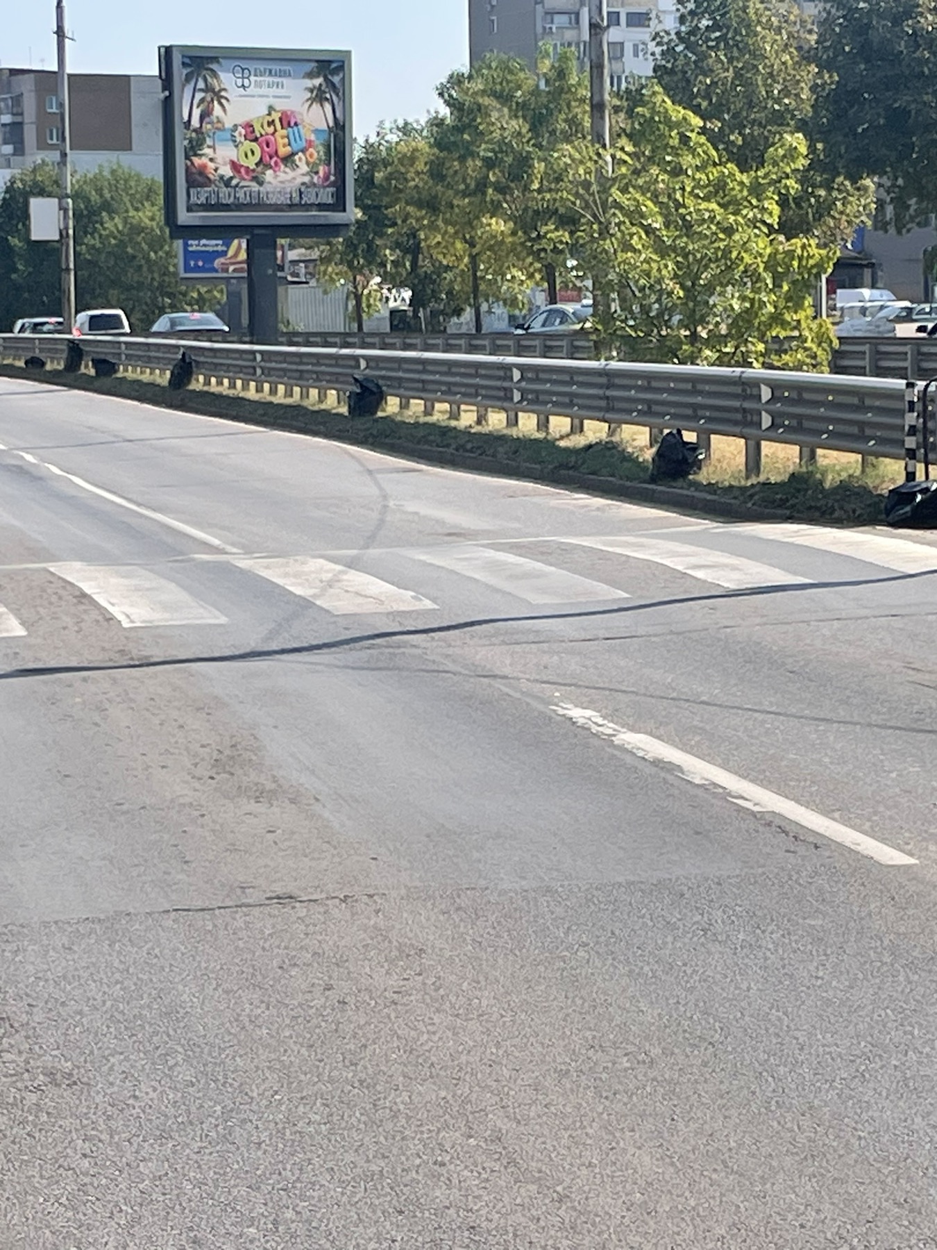 Ръчно почистване на улични платна