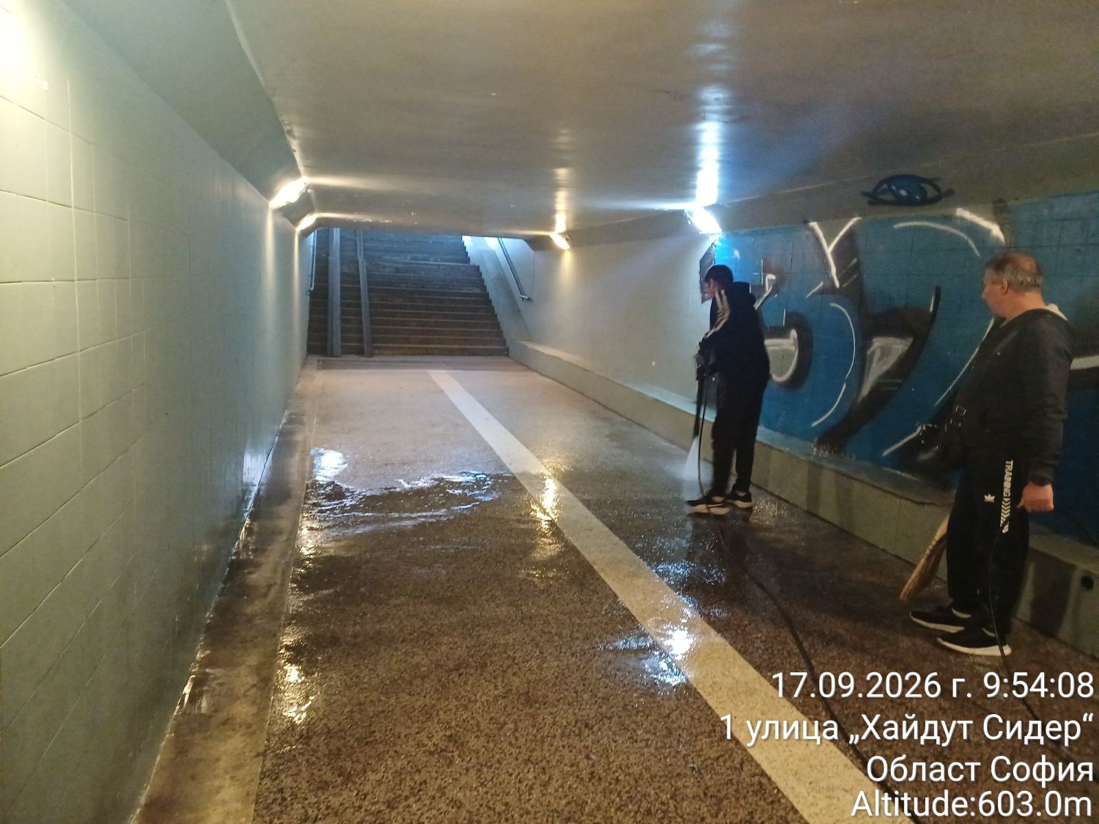 Миене на подлези